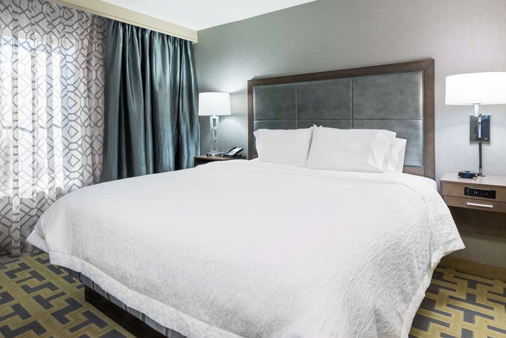 Hampton Inn & Suites Atlanta Buckhead Place Rum bild